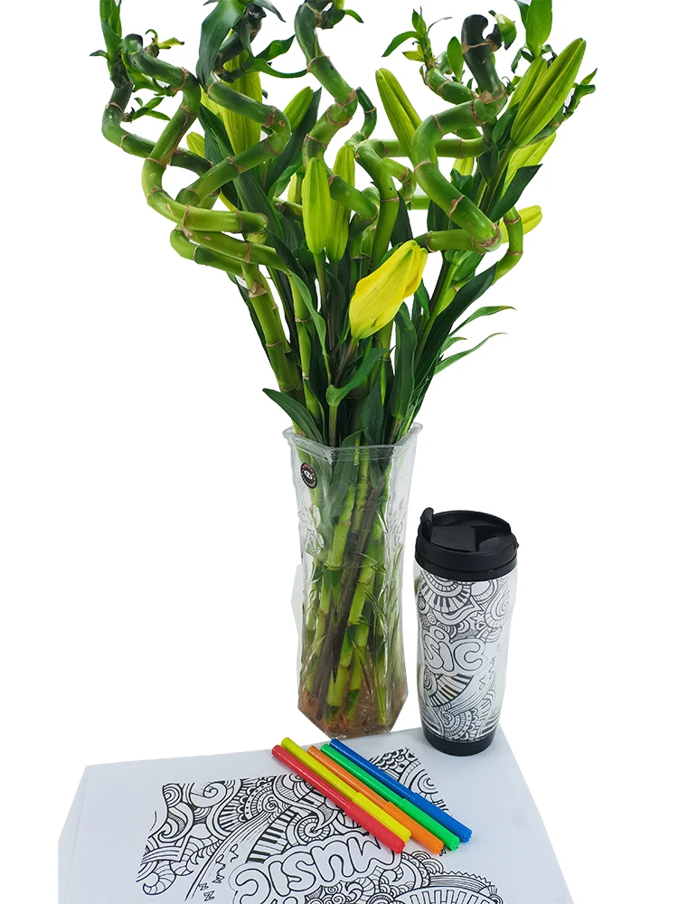 Plastic Draw Doodle DIY Color Cup with 4 markers DIY Coloring mug