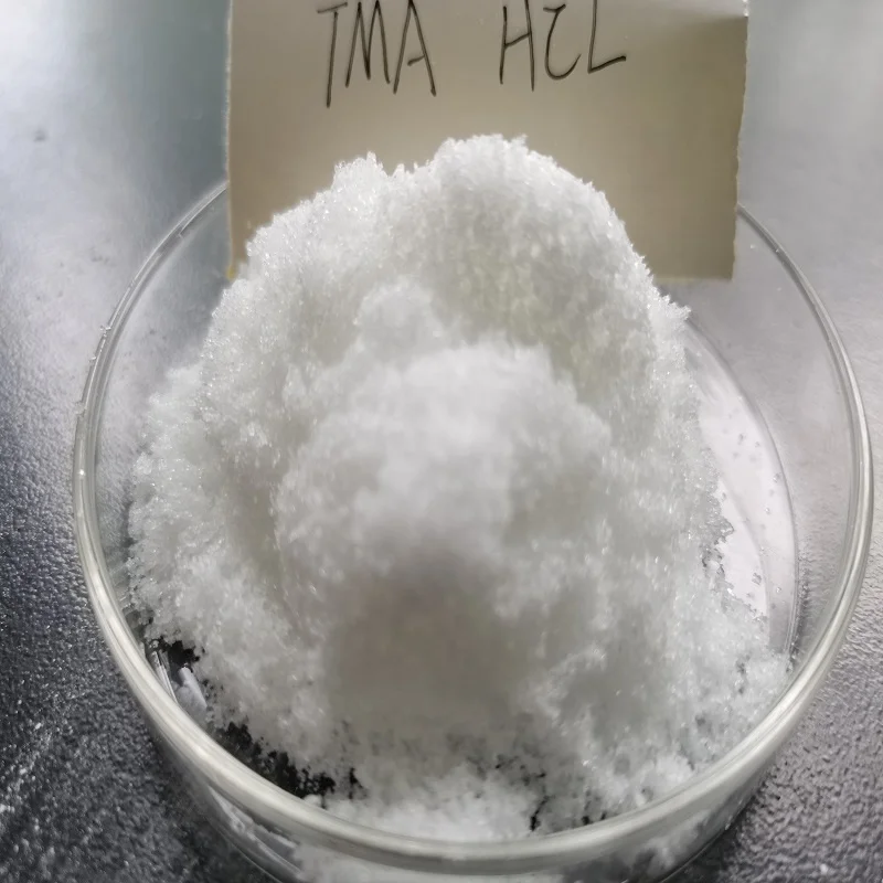 Flotation Reagent Trimethylamine Hydrochloride 99% CAS NO 593-81-7TMA HCl Fine Chemical Intermediate