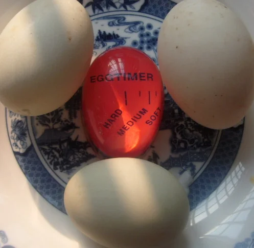 Lelyi Eco friendly kitchen gadget Color changing egg timer resin egg timer