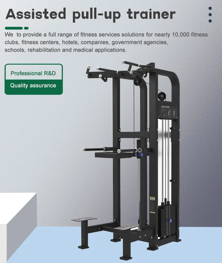 Commercial Pin Loaded Selection Dip/Chin Assisted Station High Quality Chin Pull Up Machine