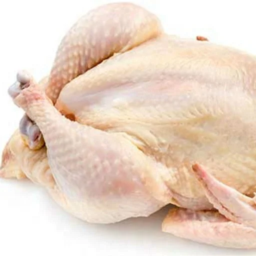 HALAL Frozen Whole Ducks at wholesales prices