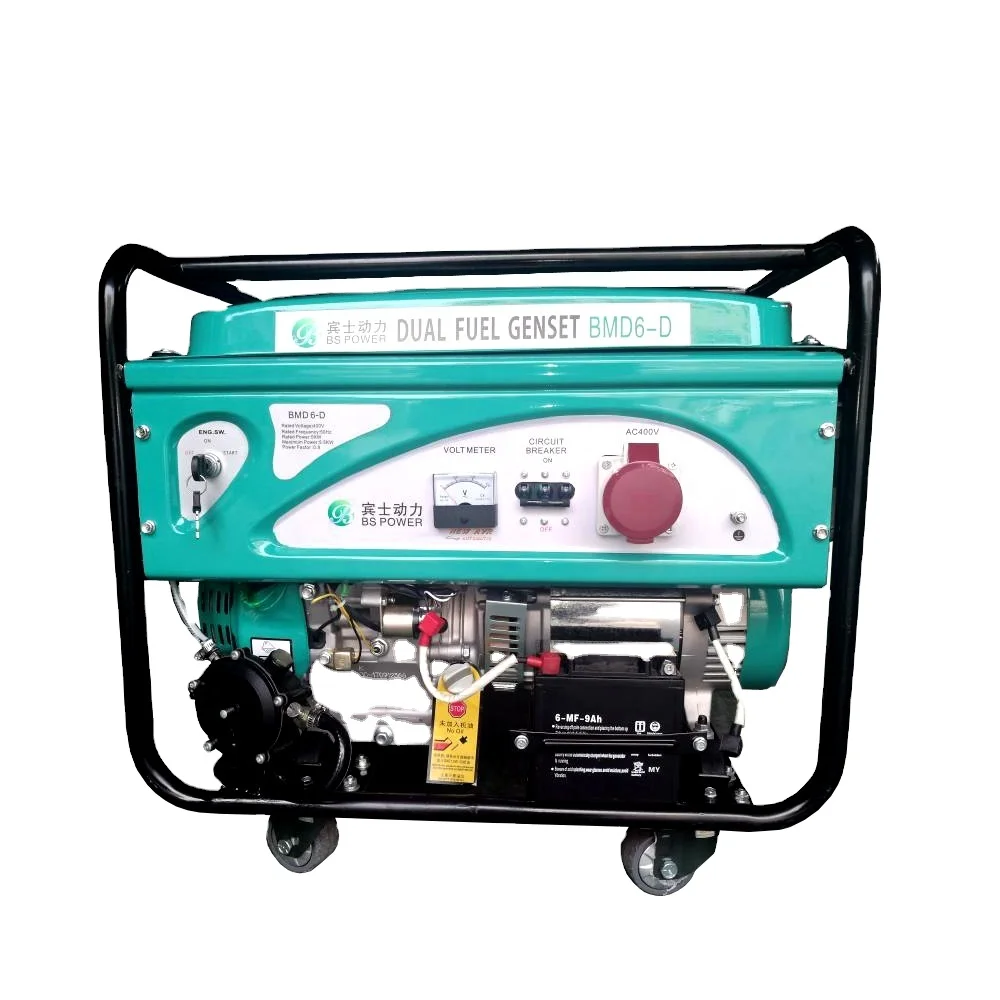 2kw 5kw 8kw 10kw 15kw Natural Gas LPG LNG CNG Generator Set with Low Price