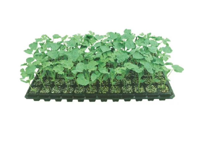 Customised Black White Net Pots Plastic Nursery flower pot & Planter small Large size garden seeding tray