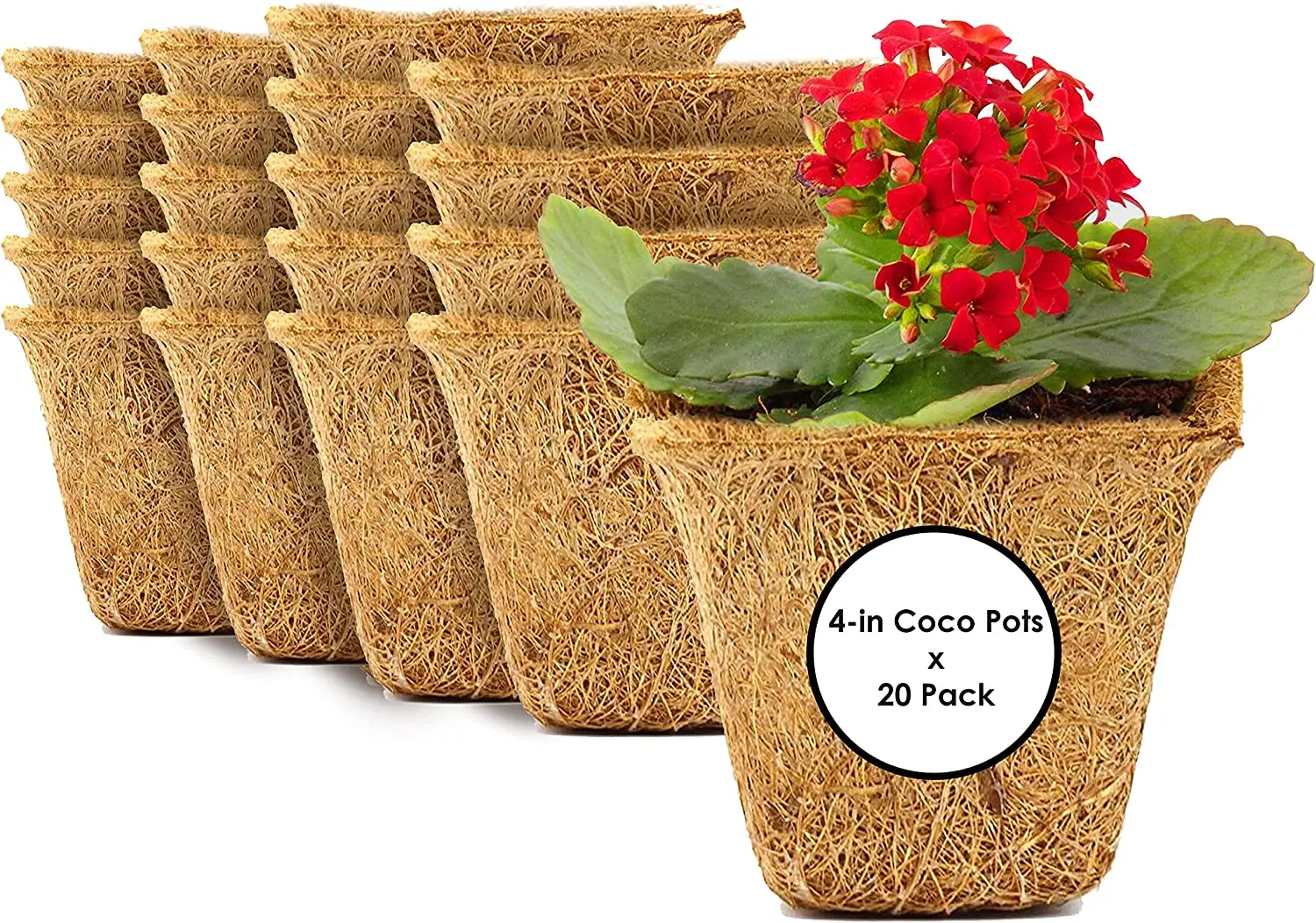 Canada USA Plant Garden Flower Coco Coir Coconut Fiber Pot