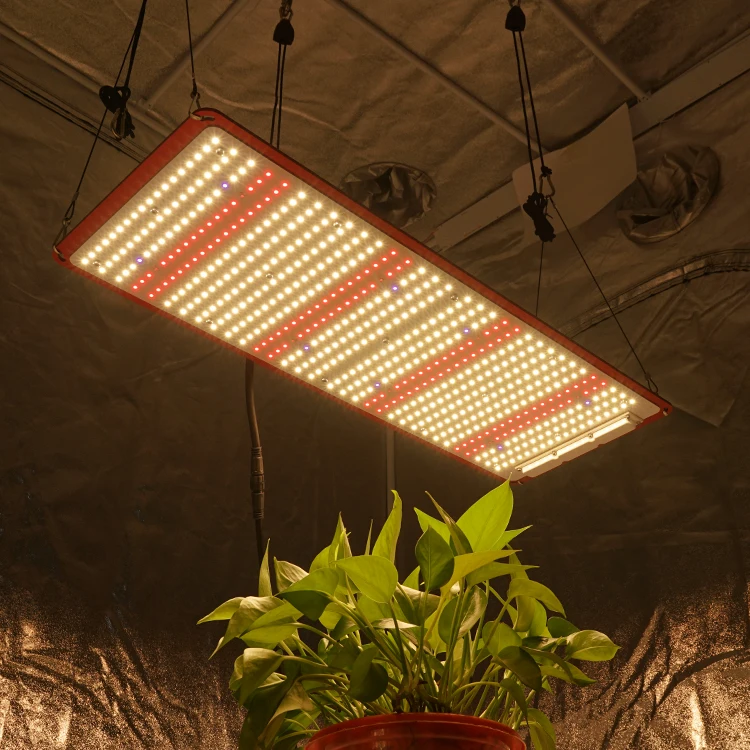 Kingbrite LED Grow Lights 240W, LM301H pcb LED Panel Full Spectrum Grow Tent Complete Kit for growing system