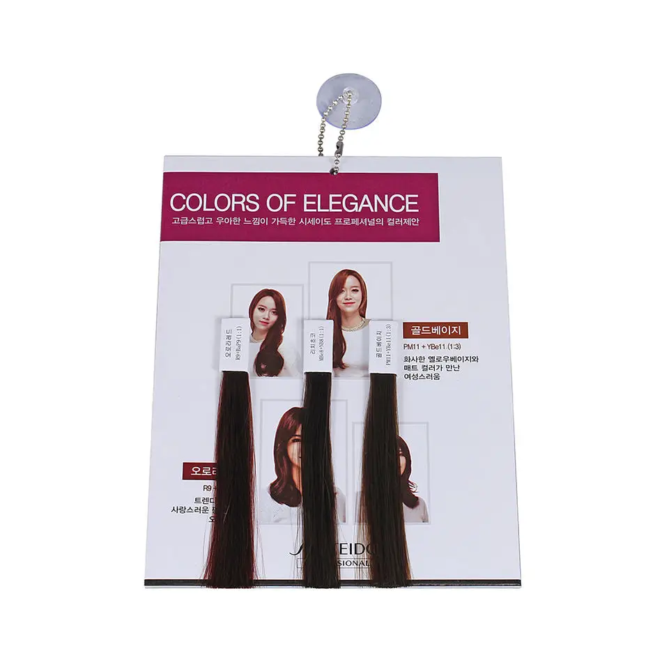 Best Selling Professional OEM Cosmetics Hair Dye Shade Swatch Book Hair Color Chart for Salon