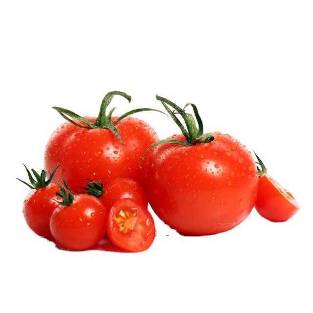 HIGH QUALITY NUTRITIOUS BULK TURKEY WHOLESALE DELICIOUS TOMATO SAUCE VEGETABLE KITCHEP BEST PRICE TURKEY AGROWELL TURKISHGOODS