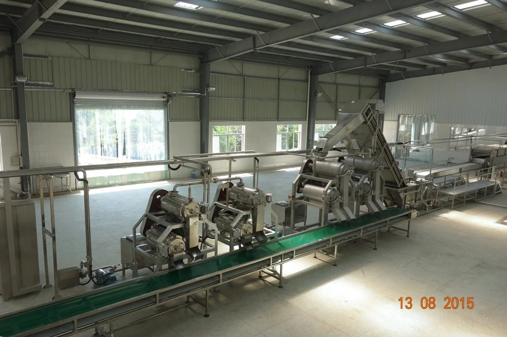 Kingwish factory turnkey project mango juice pulp puree processing plant/mango pulp processing line