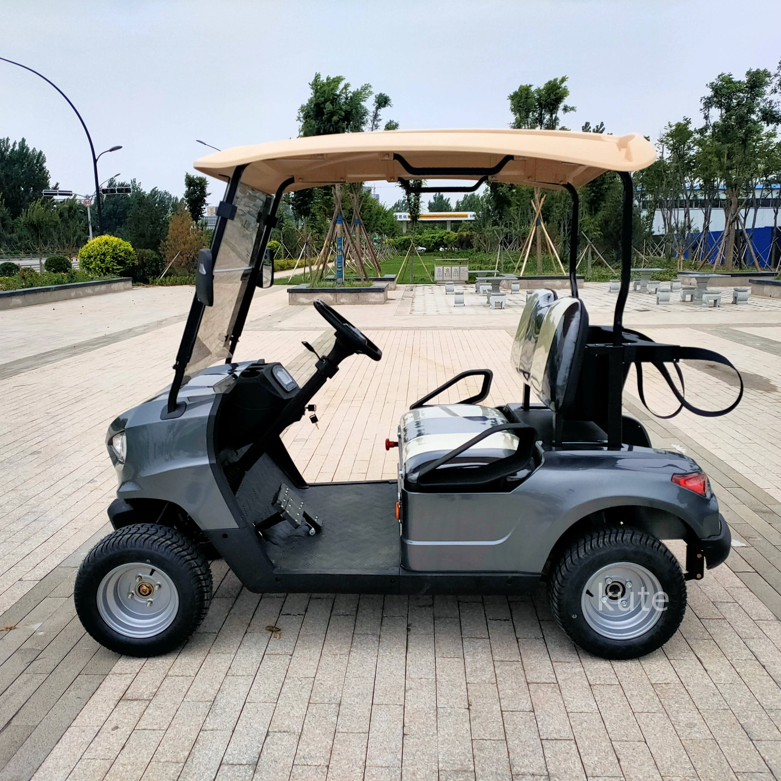 2024 New Model Electric 2 Seater Golf Cart Golf Scooter with Large Storage bucket