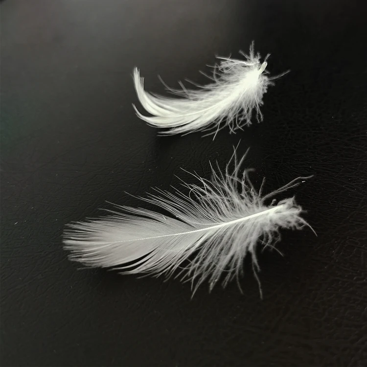 Диванная подушка с наполнителем из мытого белого утиного пера 2-4 см 2-6 см 4-6 см крошечное утиное перо менее 2 см