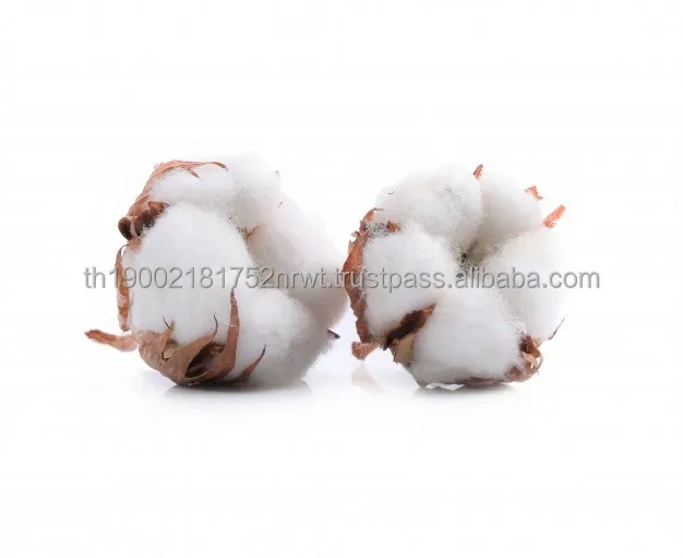 Organic Cotton Comfortable Natural Textile Pure Cotton Agricultural Product Cloths Cotton Fabric Material