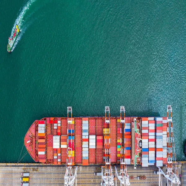 BOLOGNA sea shipping LCL 20ft 40ft China shipping agent freight forwarder China to ITALY