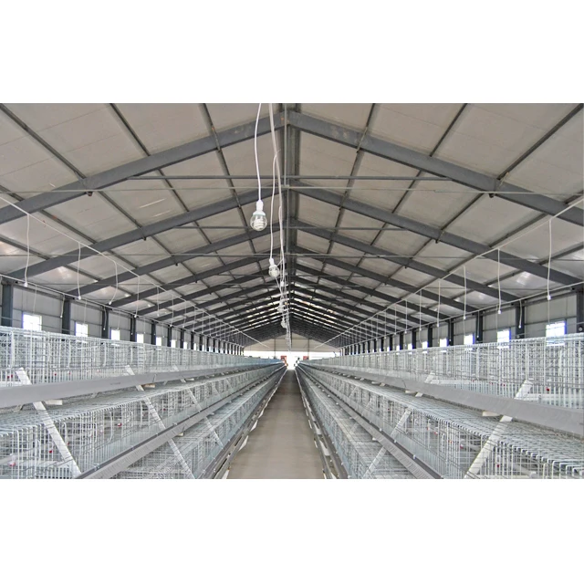 10000 Chickens Moderate Price Large Scale Automatic poultry farm design broiler chicken farm