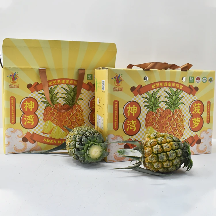 Wholesales 72 Hours Insulated Cooler Frozen Food Fruit Shipping Packaging Boxes Kraft Paper Corrugated Box Rigid Boxes Accept