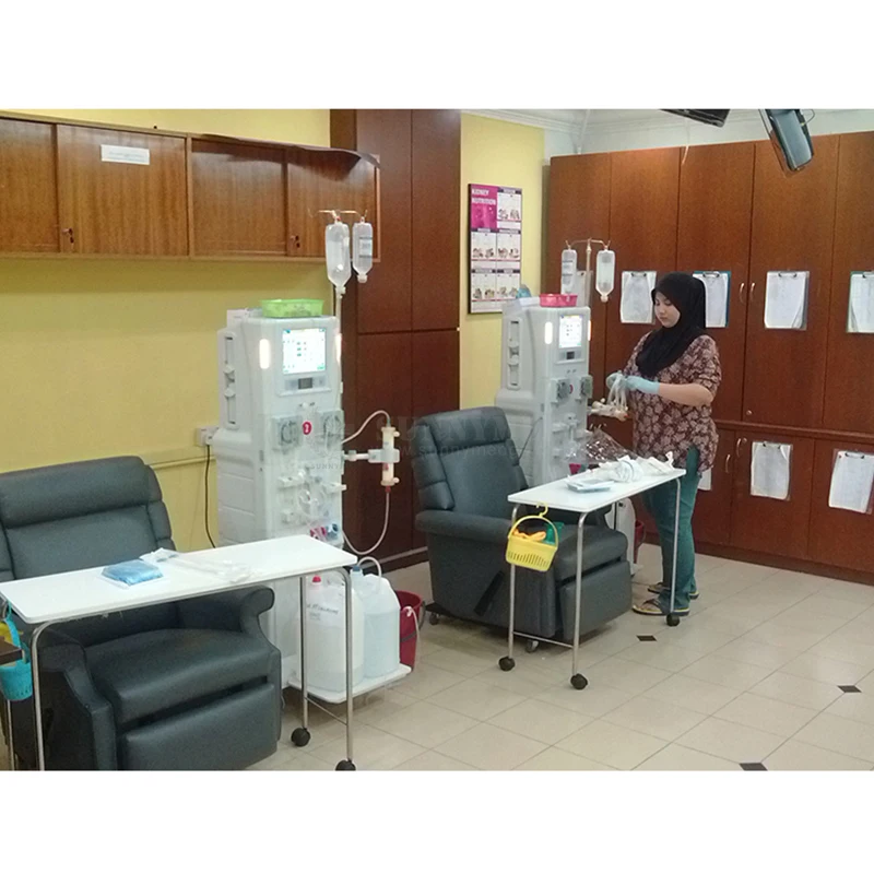 SY-O001 Multifunctional Hemodialysis Equipment for hemodialysis treatment Kidney Hemodialysis Machine kidney dialysis machine