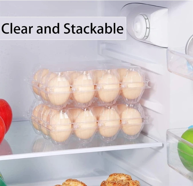 Plastic Egg Cartons Cheap Bulk 1 Dozen Clear Empty Egg Cartons for Chicken Eggs