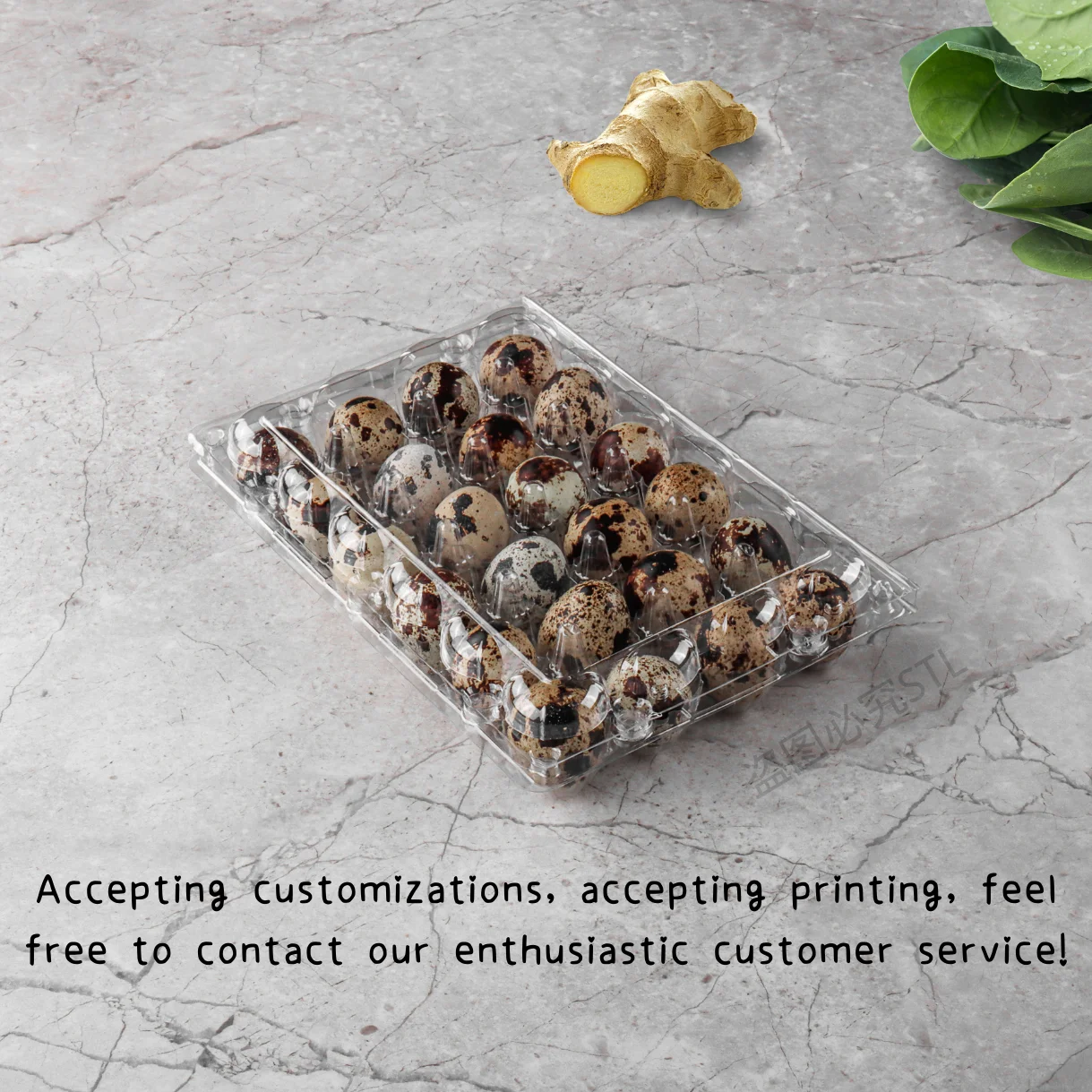20 24 30 Holes Clear Disposable Clamshell Plastic Packaging Quail Egg Trays
