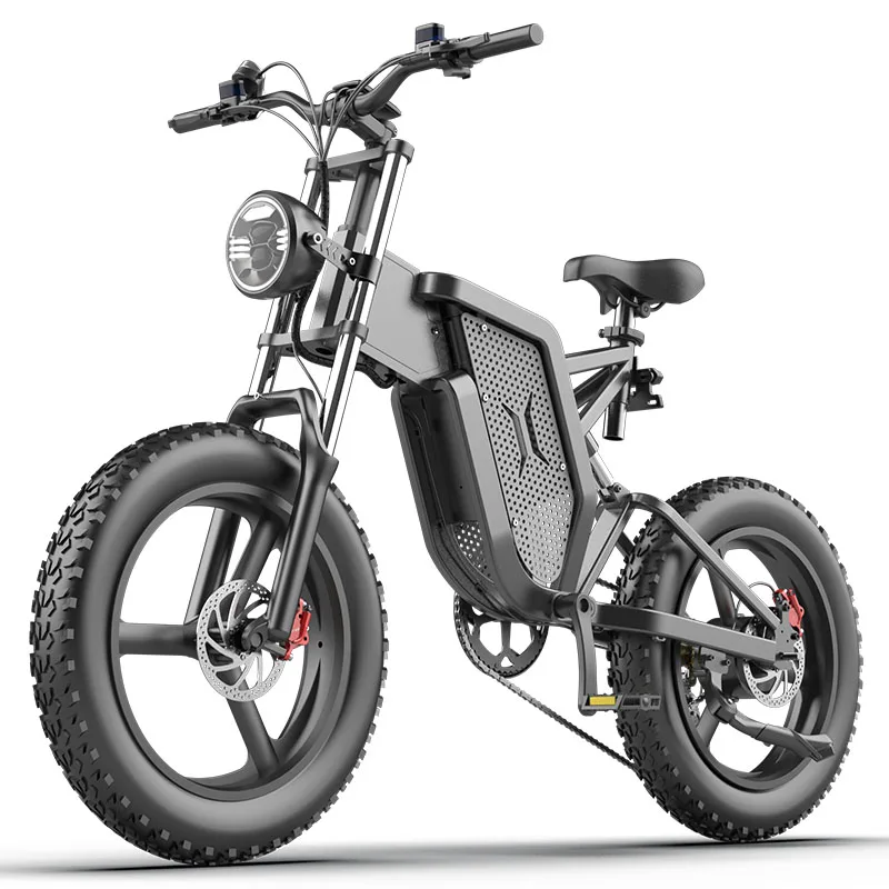 X20 E-Mountain Bike 20inch Electric Bicycle 2000W 20AH 48V E-Bike