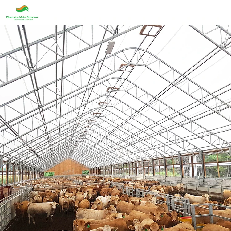 Большая палатка 25x60 м для хранения суровых погодных условий выдерживает нагрузку на ветер со скоростью 170 км/ч емкость снега 1 0 кН/м²