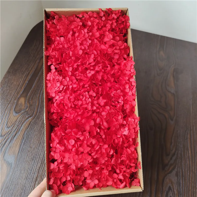 Anna Hydrangea Preserved Fresh Boxed DIY Flowers for Christmas Decorations Drop Glue Accessories