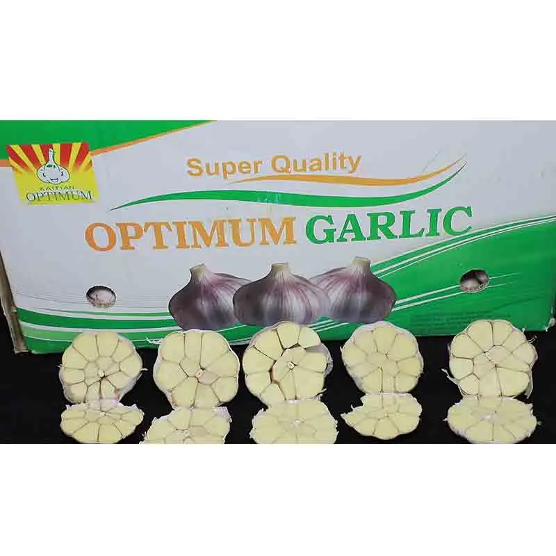 white garlic /garlic price/ packing garlic mesh bag