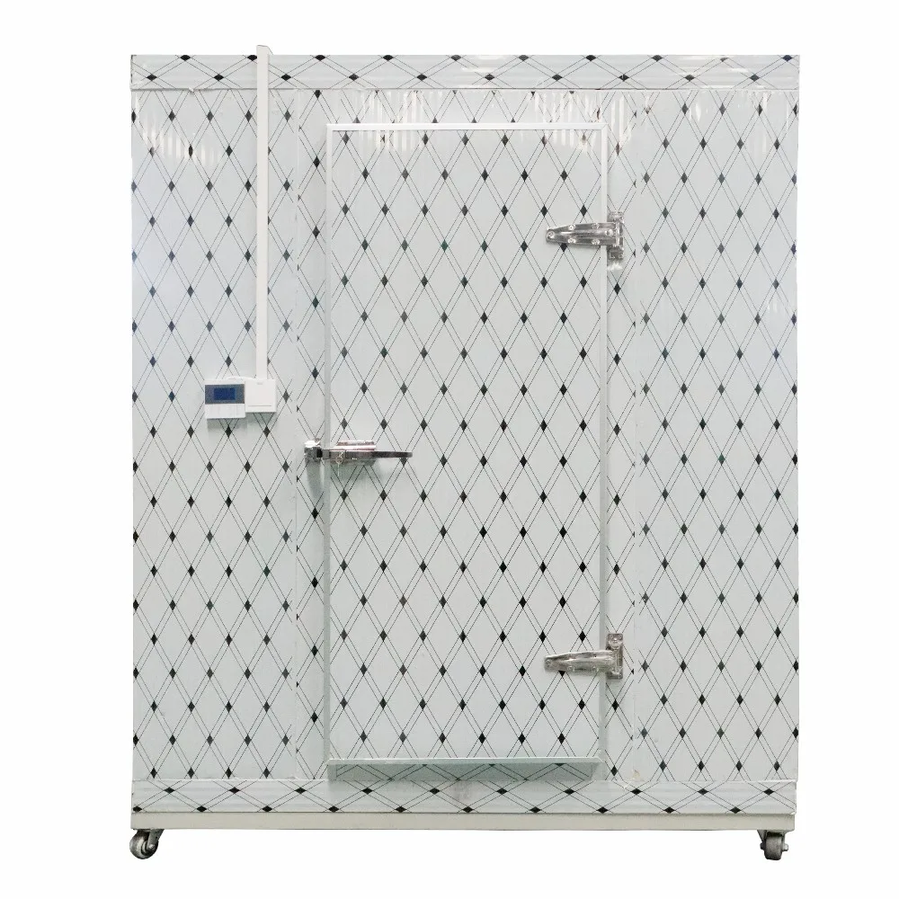 20ft 40ft cold storage refrigerator freezer vegetable fruit meat container cold room large freezer walk-in