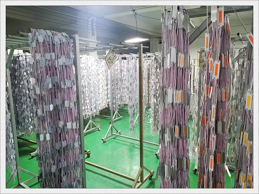 led module (15)