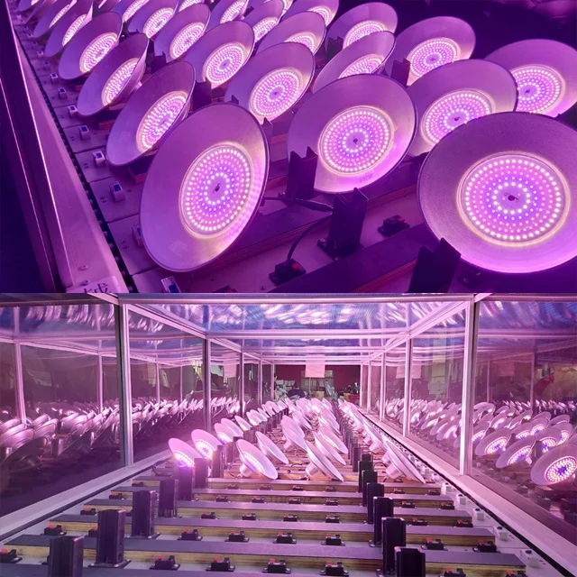 Greenhouse planting Grapes Growing  50W Red Blue Light Photosynthesis Waterproof Aluminium UFO LED Grow Light  Flowers  Fruit