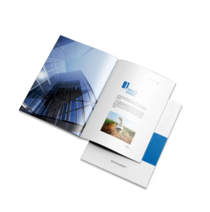 Custom  printing Booklet catalog leaflet A4 brochure/ booklet printing Flyers for Brochure Printing