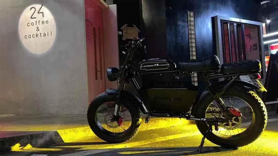 20x4.20 2000w Interior Dirt Fat Wheel Tyre Foldable Ebike Bicycle Folding Electric Bike LED Lithium Battery 48V Aluminum Alloy