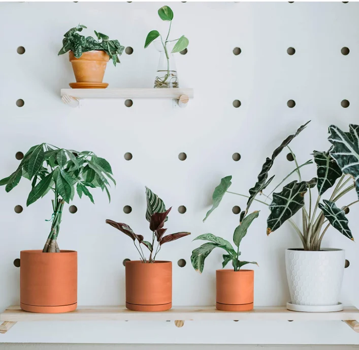 Terracotta Pots  Leaves Pattern Planter Pot