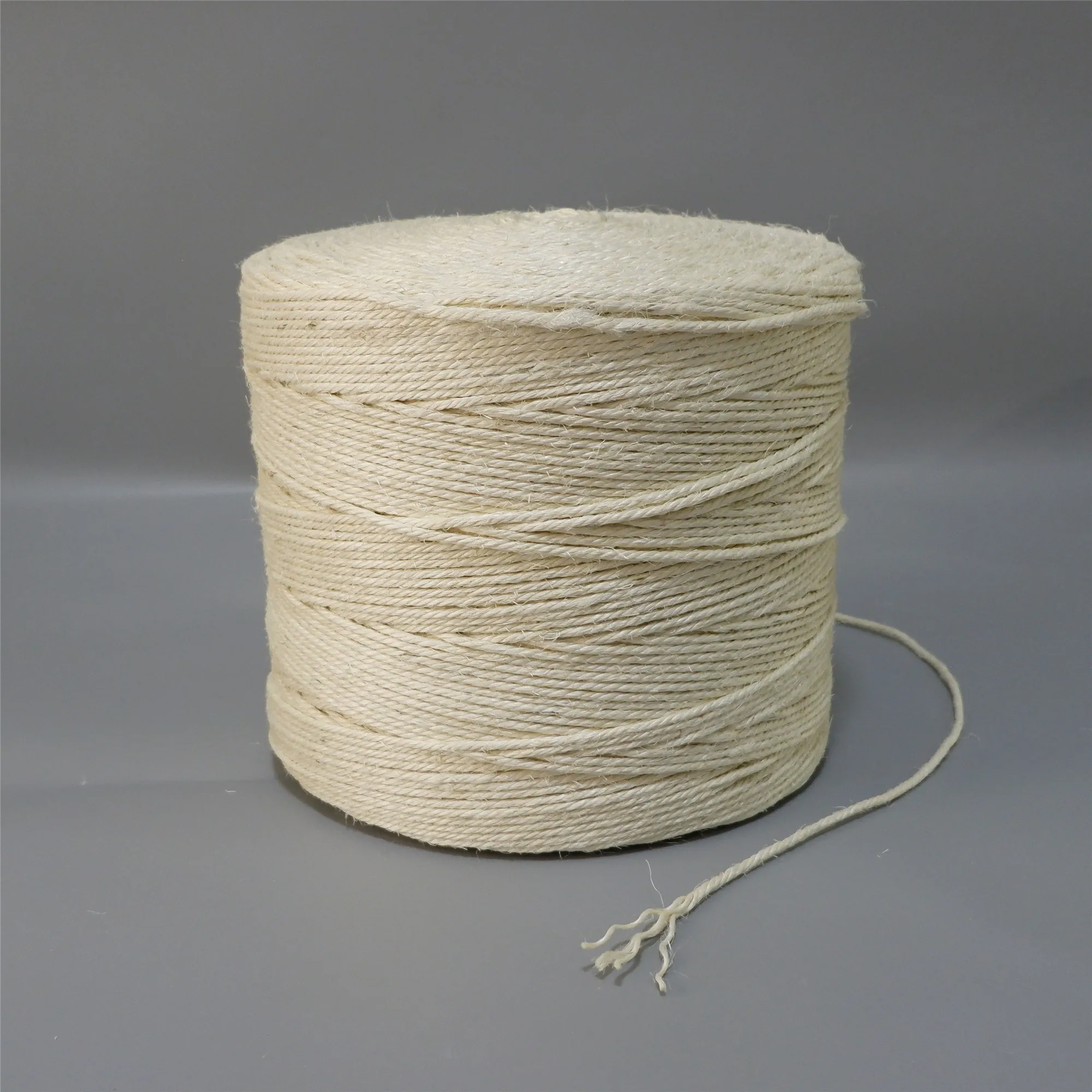 cat climber pet rope