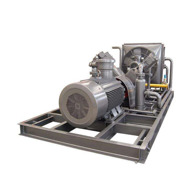 CNG Filling Station LNG Compression Piston Air Compressor High Pressure V Type Natural Gas Compressor Machines