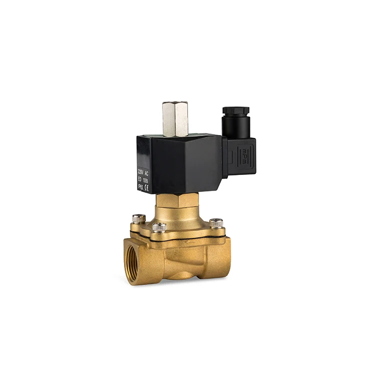 stainless steel brass AC DC copper coil 24v 220v air steam thread G solenoid valve