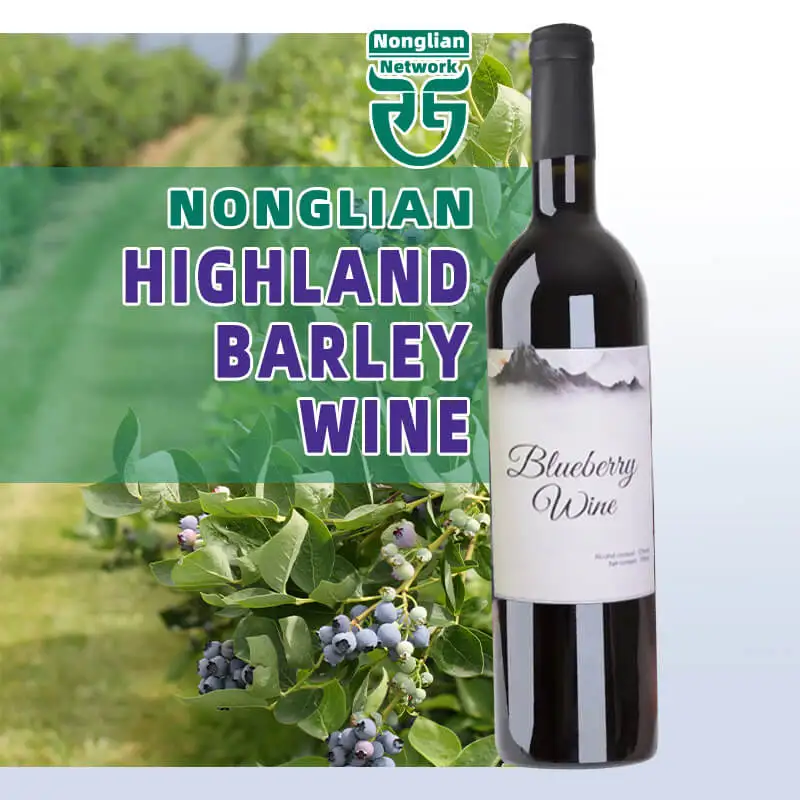 High Quality Sparkling Wine 12vol Yantai Dry blueberry wine With alcohol content