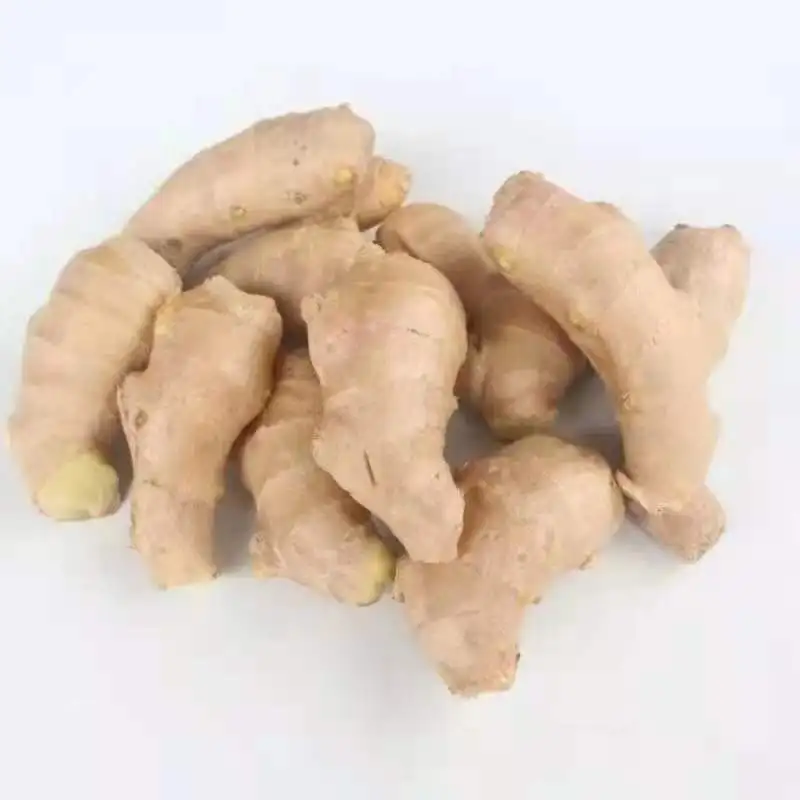 Good Quality Plump Clean Yellow Color Chinese Fresh Ginger Seeds