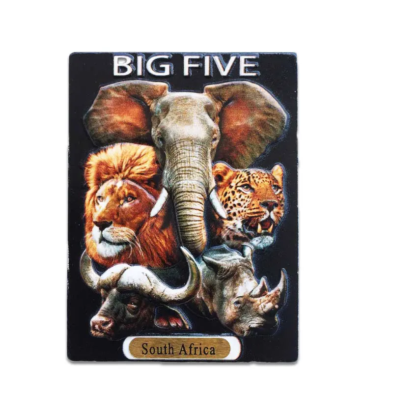 Креативный Магнитный резиновый холодильник, прикрепленный в ЮАР, памятный туристический набор на заказ