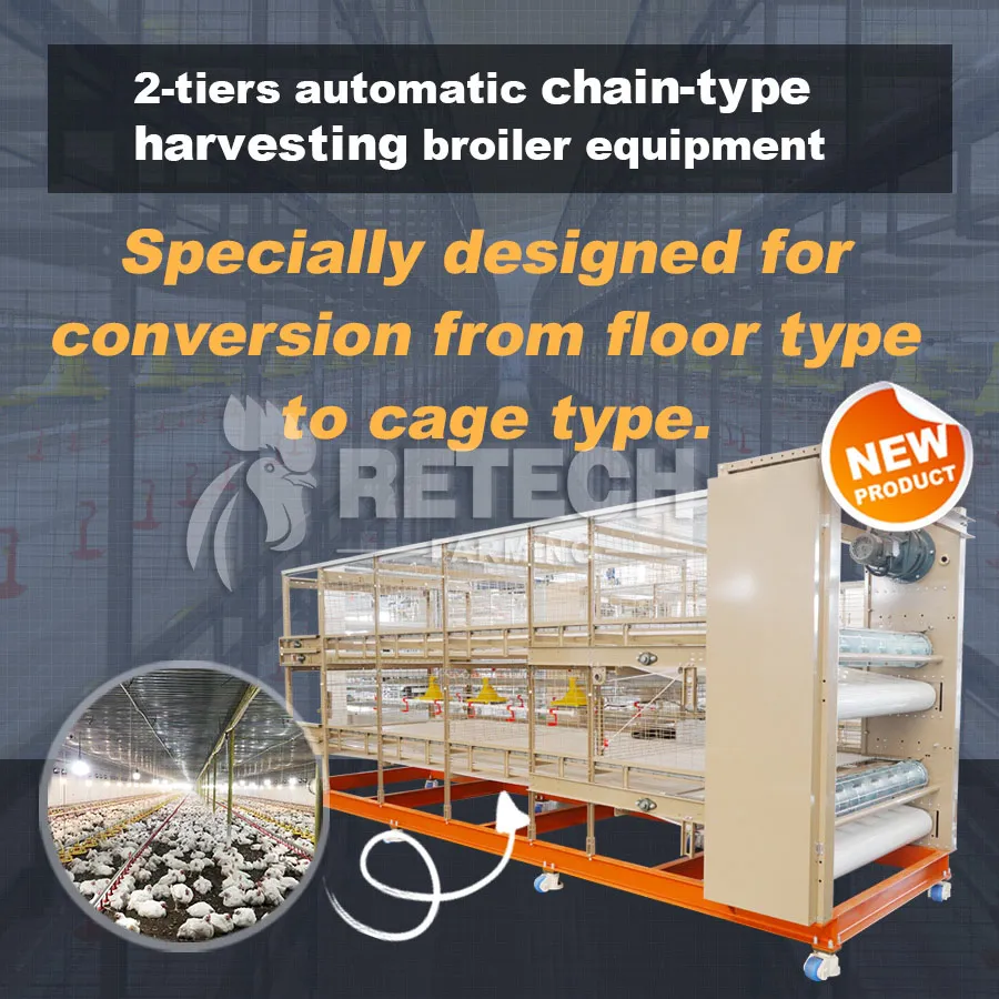 Automatic Chain-Type Harvesting Broiler Cage in the Philippines