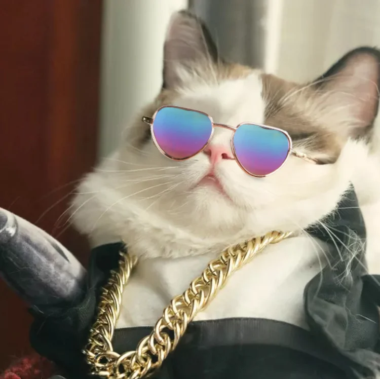 Good Design Hot Sale Heart Shape Pet Cat Glasses Dog Glasses Pet Sunglasses