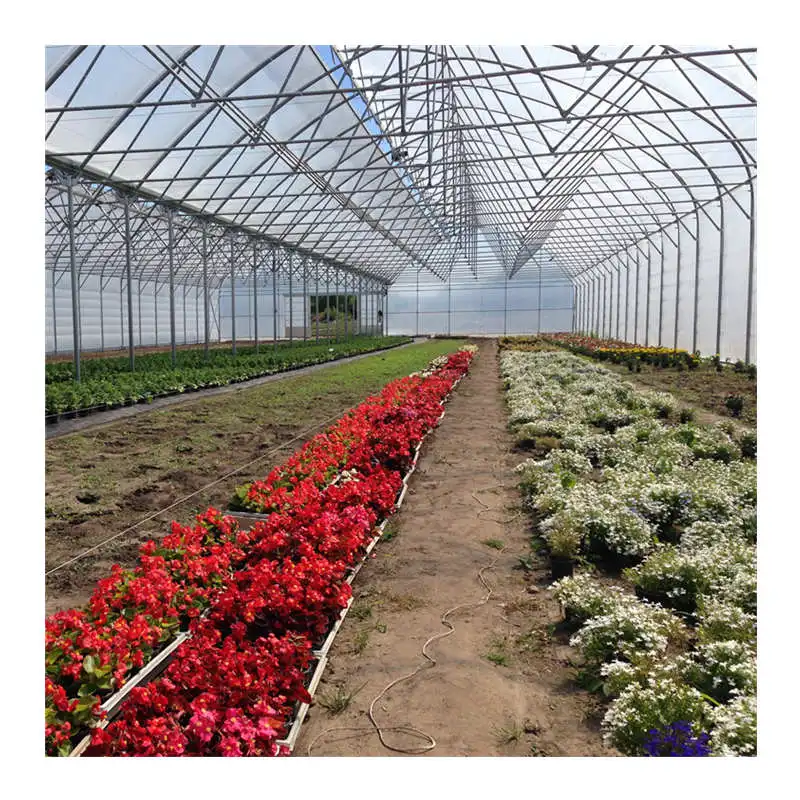 Modern Appearance Venlo Type PC Sheet Cover Material Multi span green house