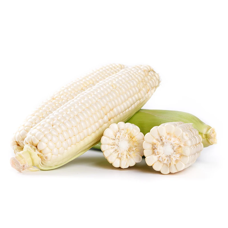 Wholesale supplier factory frozen corn hot sale sweet corn popular product white corn