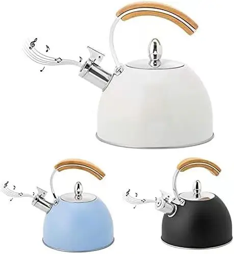 Kettle for Gas Stove Water Boil Stainless Steel Coffee Boil Teapot Stovetop Hot Water Kettle Whistling