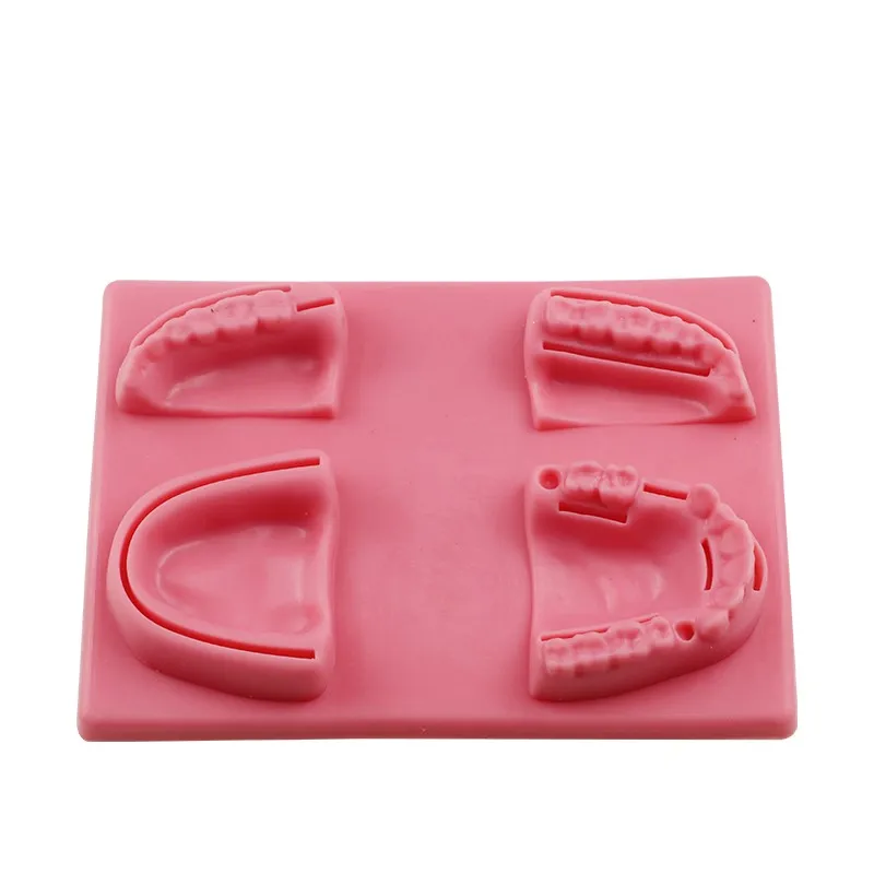 Medical Teaching Model Silicone Oral Suture Training Module Gum Suture Kit Dental Teaching Model