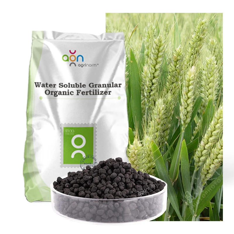 High Quality Growth Promoter soluble granular organic fertilizer