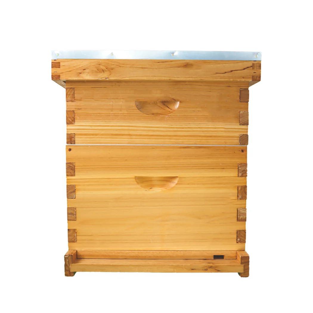 High quality other livestock equipment Beeswax beehive langstroth Wooden free beehive 10 hives for sale