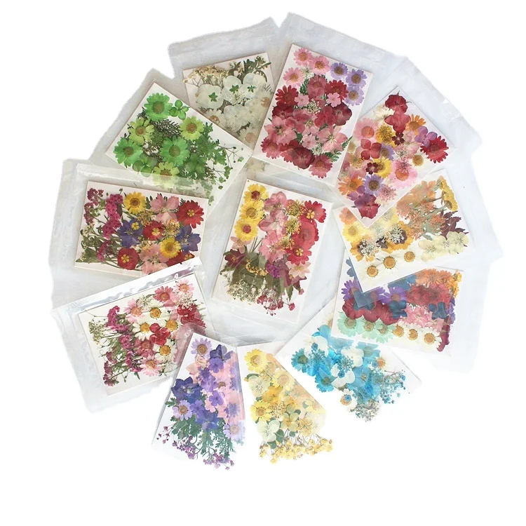 Handicraft Flower Press Bulk Mixed Pack Fresh Real Pressed Natural dried Pressed Flower for resin