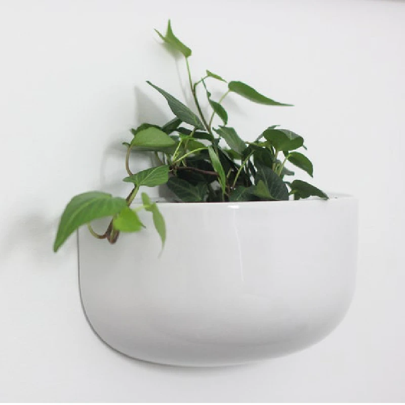 Modern Cozy Home Decor Indoor Flower Herb Pot Wide Wall Vase Planter
