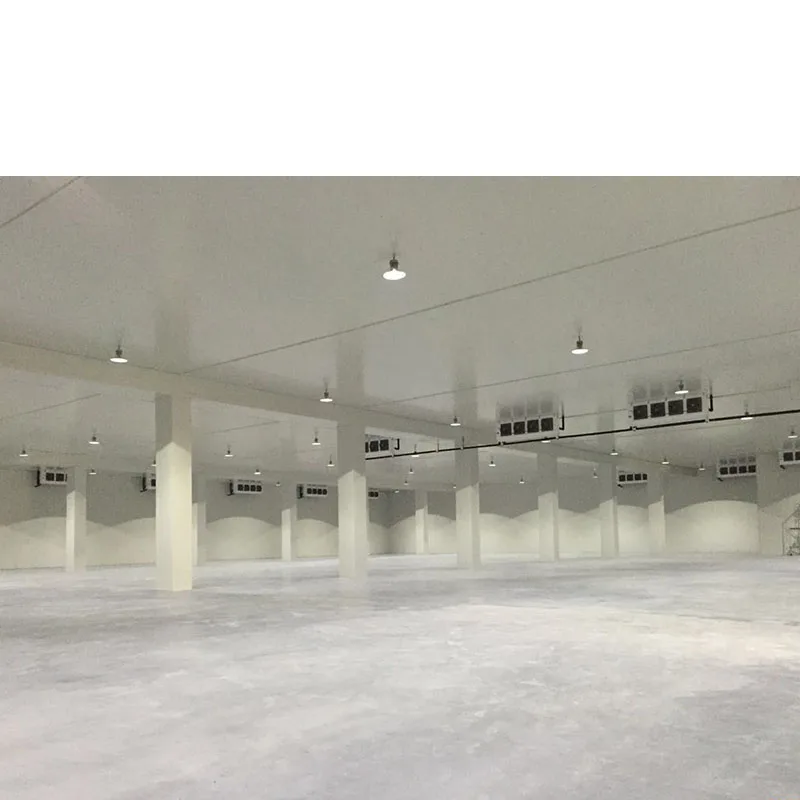 new design solar cool room for onion and tomatoes cold storage room