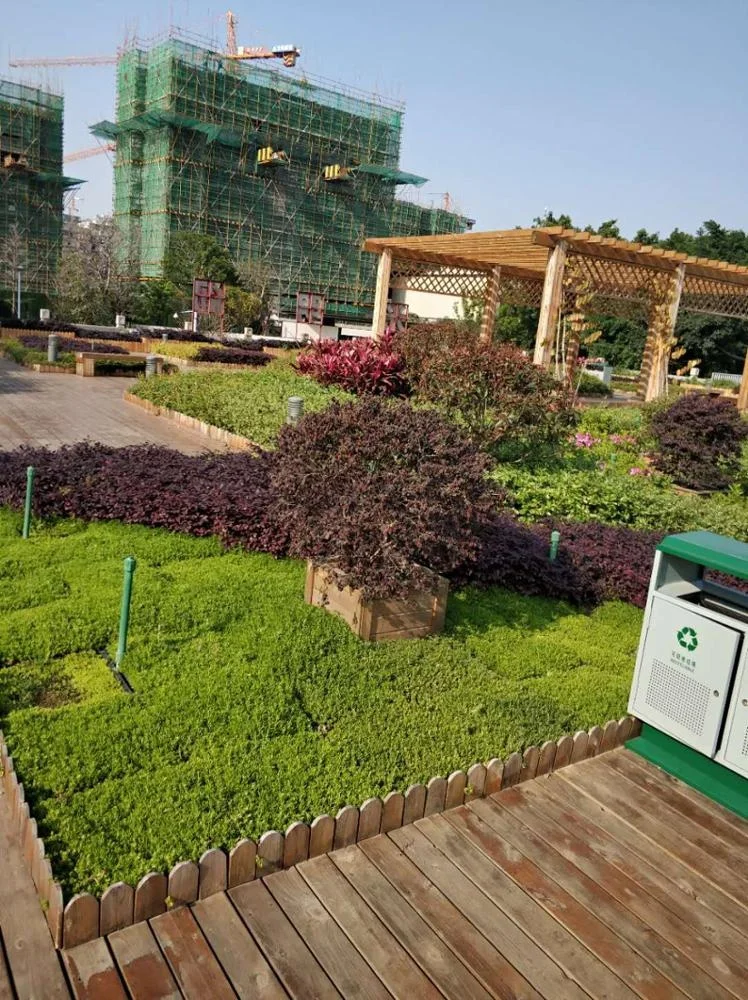 HDPE Plant Container Green Roof Garden Tray for roof greening