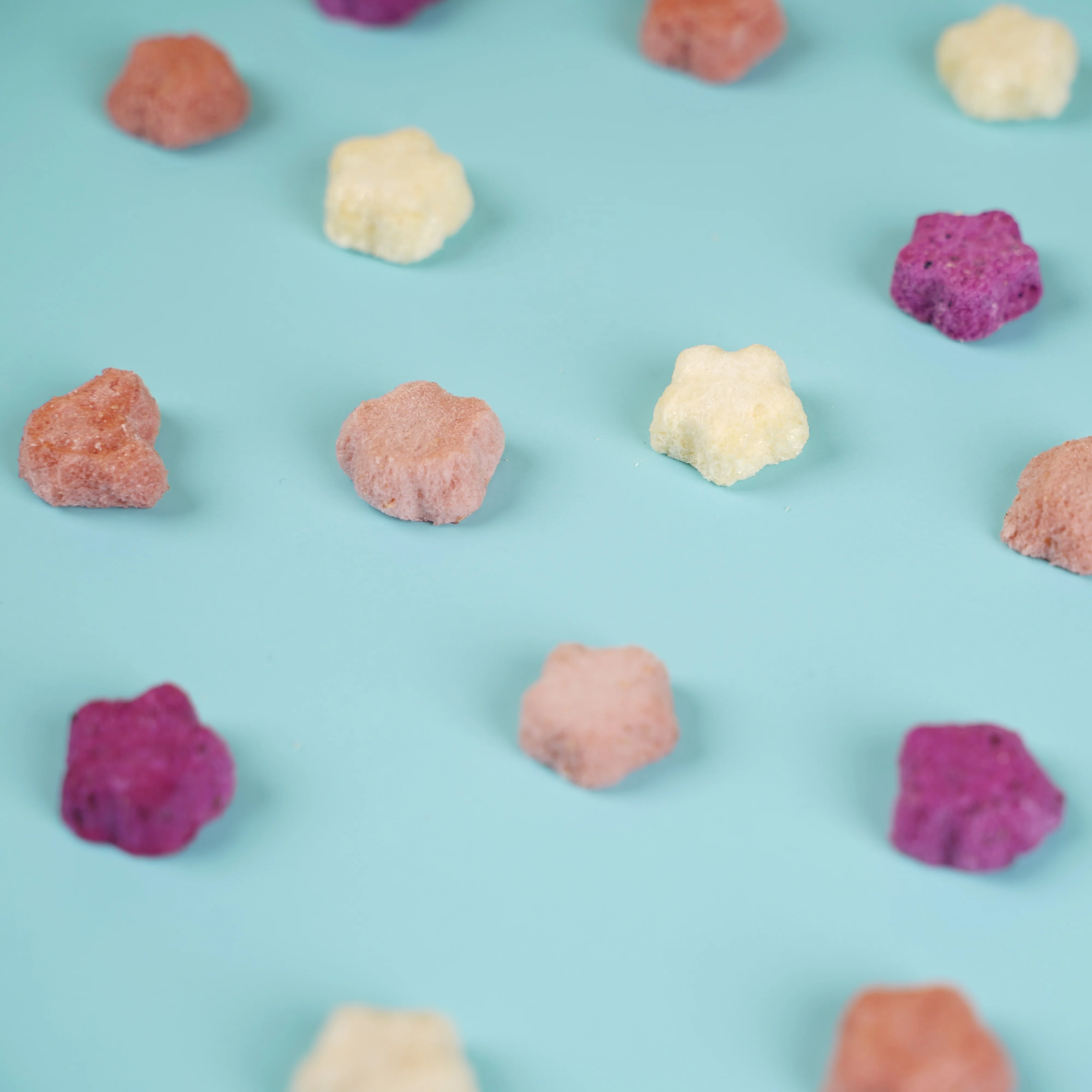 Popular Healthy Snacks Package Food quality nutritious Candy OEM ODM probiotics Baby Freeze Dried fruit  for infant